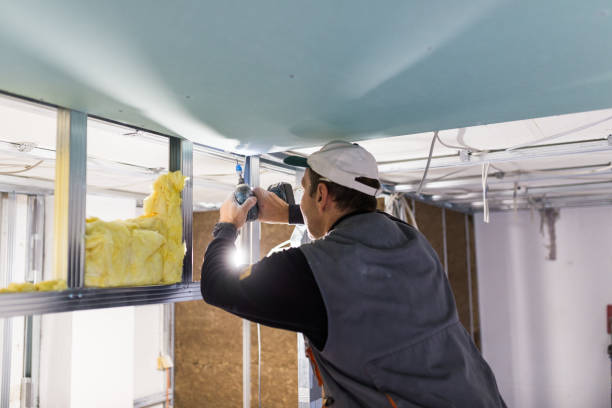 Best Cellulose Insulation in Bountiful, UT