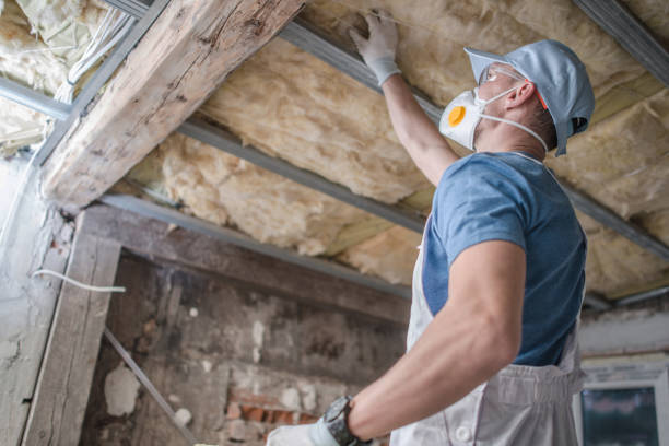 Best Eco-Friendly Insulation in Bountiful, UT